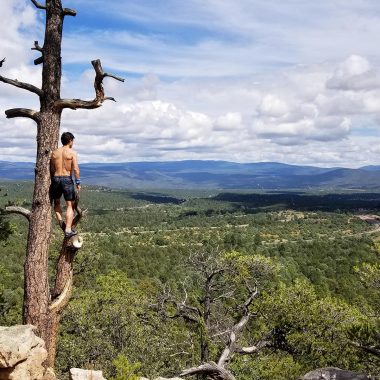 Un homme sur un arbre au Nouveau-Mexique